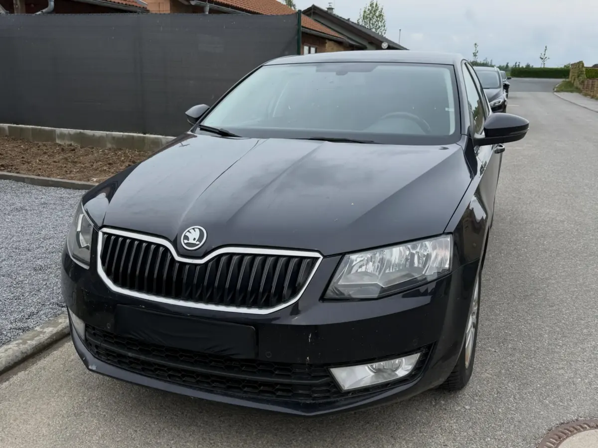 Čištění interiéru Octavia III · Zárubice (1)